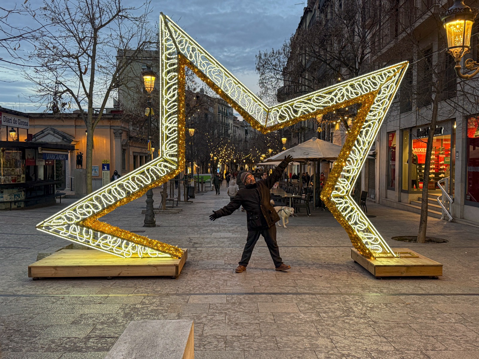How to Choose the Perfect Decorative Christmas Lighting for Your Space 6 galeria 1